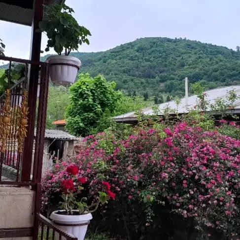 دوخوابه جنگلی اولم در ماسال