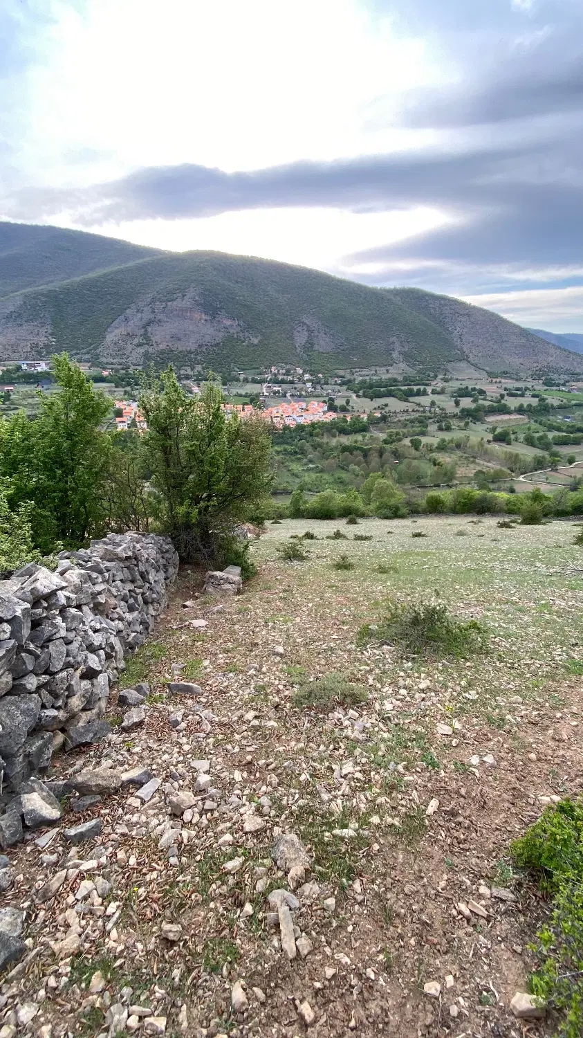 زمین