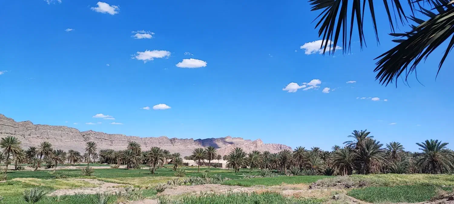 یک قطعه زمین به متراژ ۲۰۰ متر