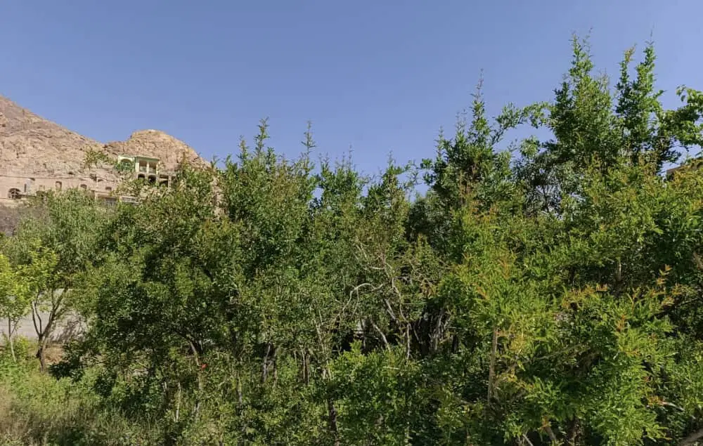 زمین فروشی