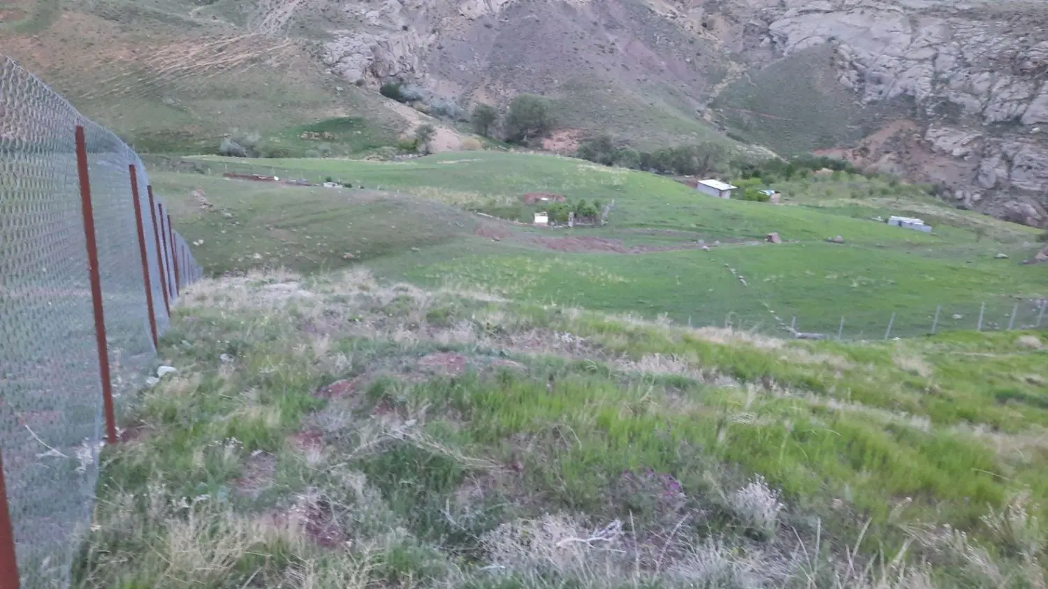 زمین روستای زرشک نزدیک خیابان اصلی