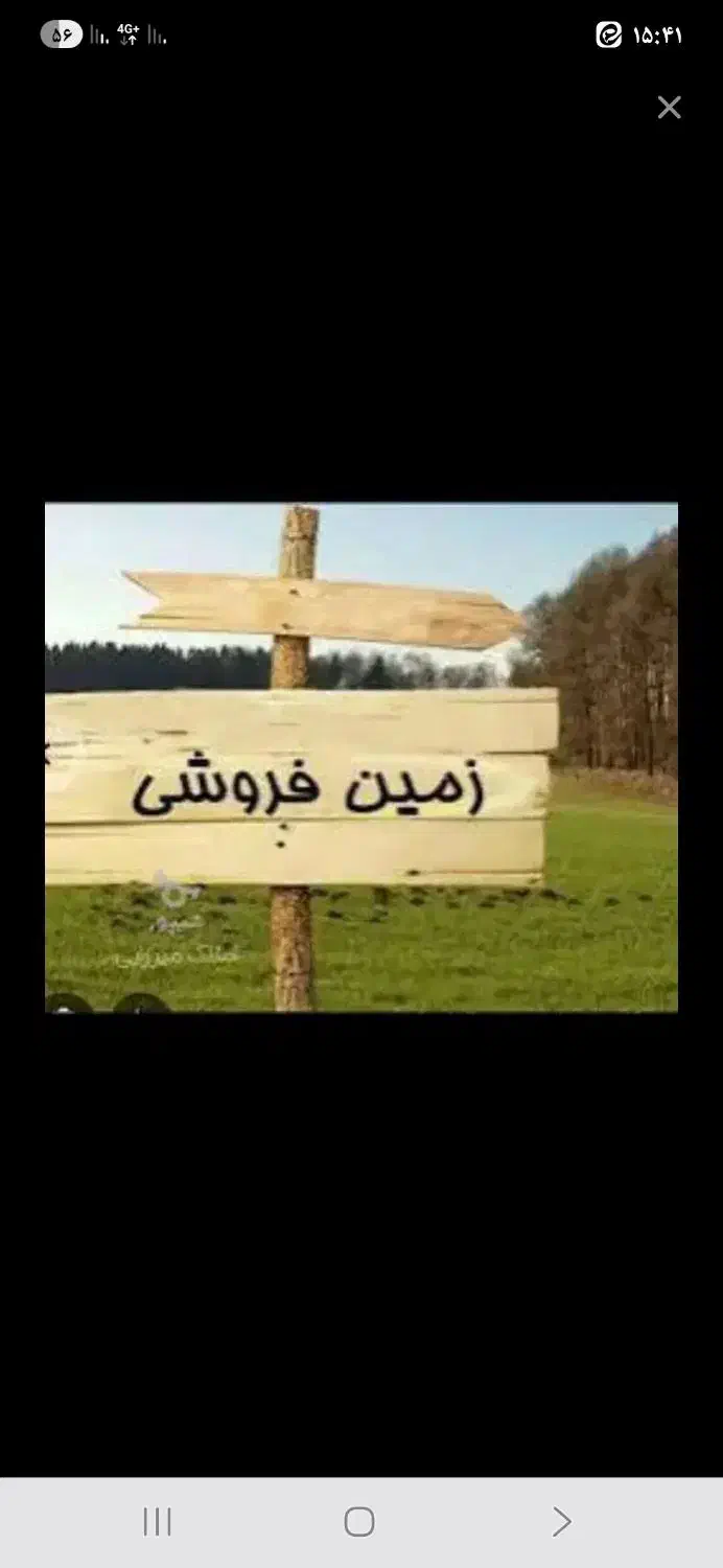 زمین زیتون ۲۰۰متری