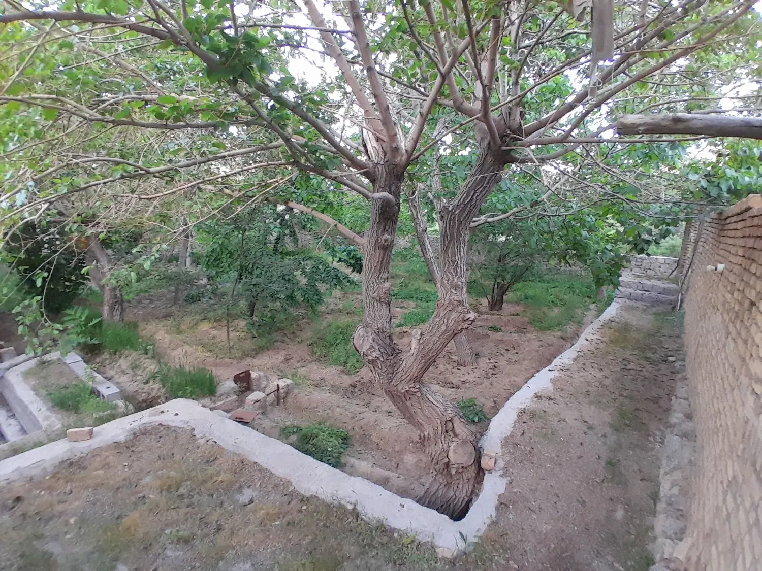 خونه باغ ده‌بالا