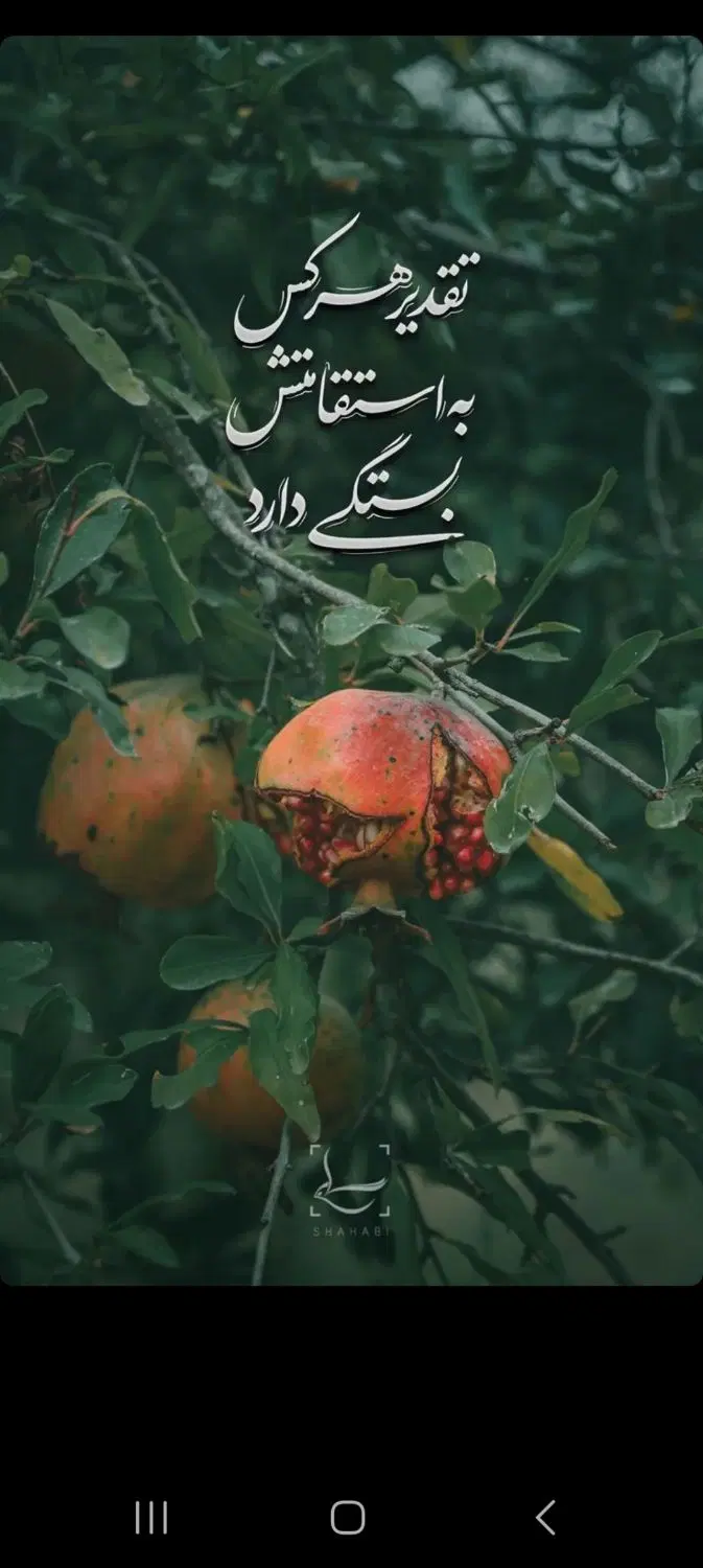 اجاره ، رهن ، همکاری ، پرورش ، باغ