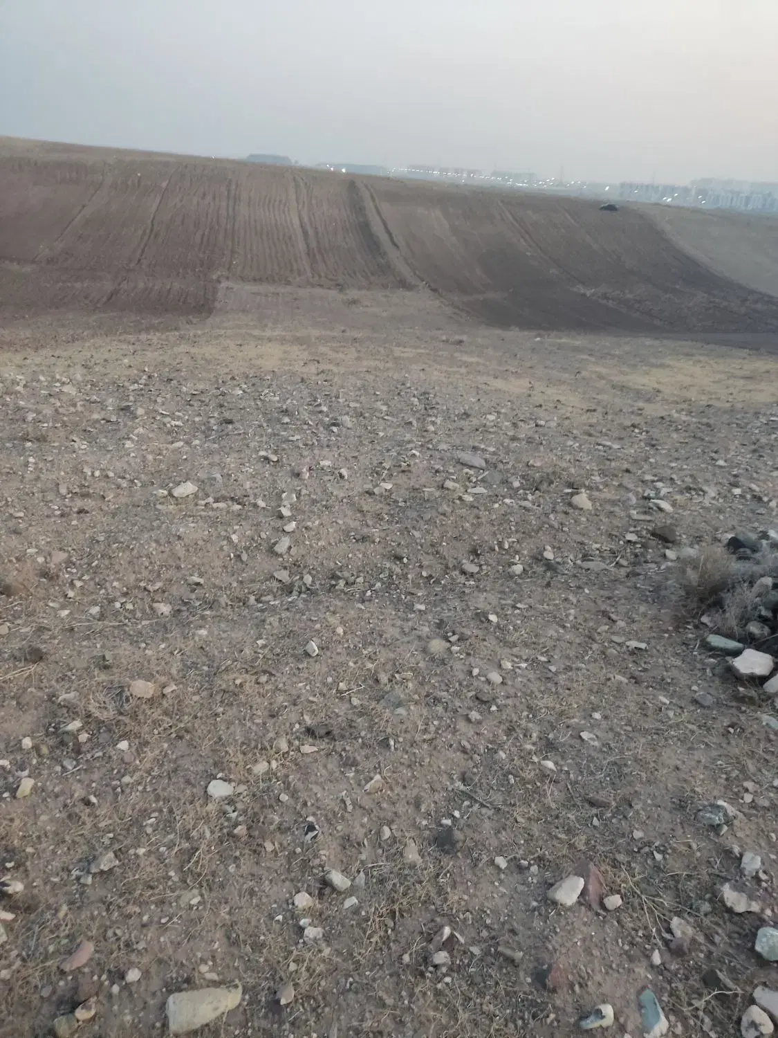 زمین باغی