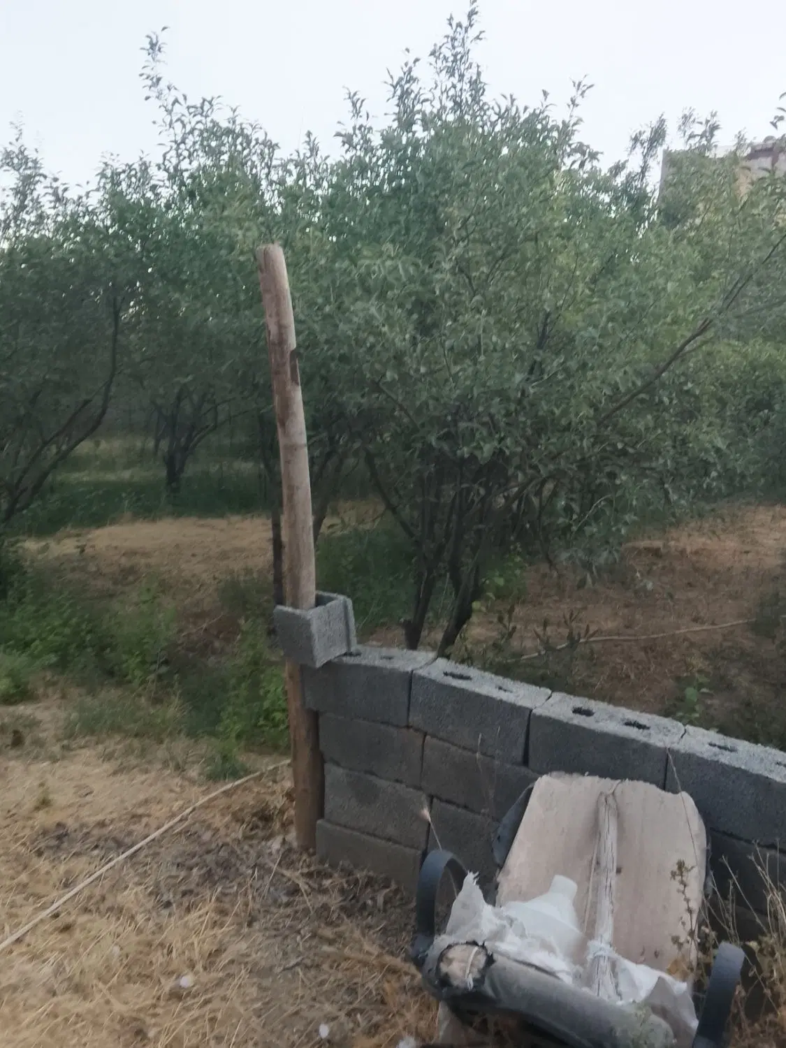 زمین مسکونی قلعه میر فتاح