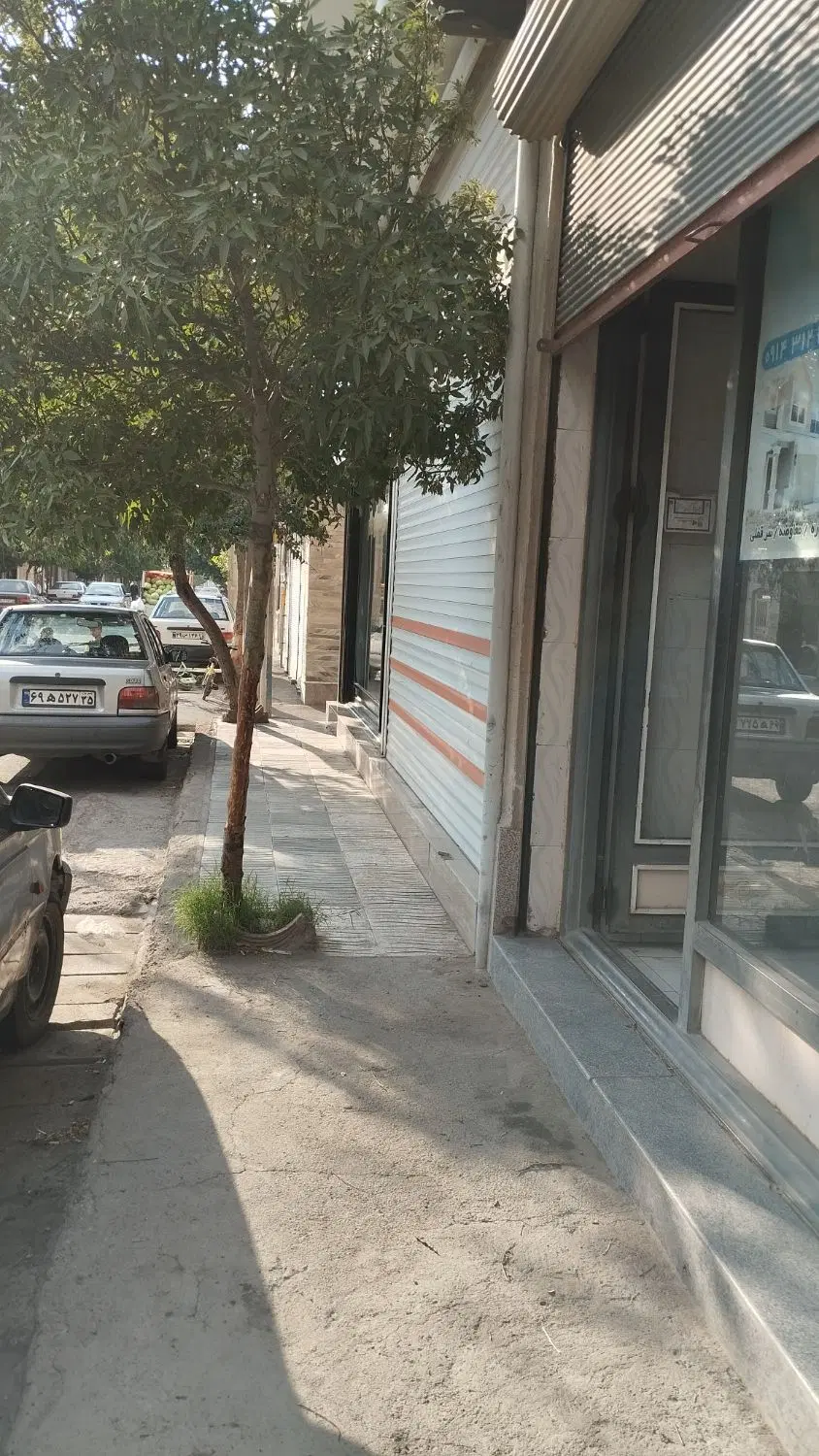 مغازه در باغ معروف