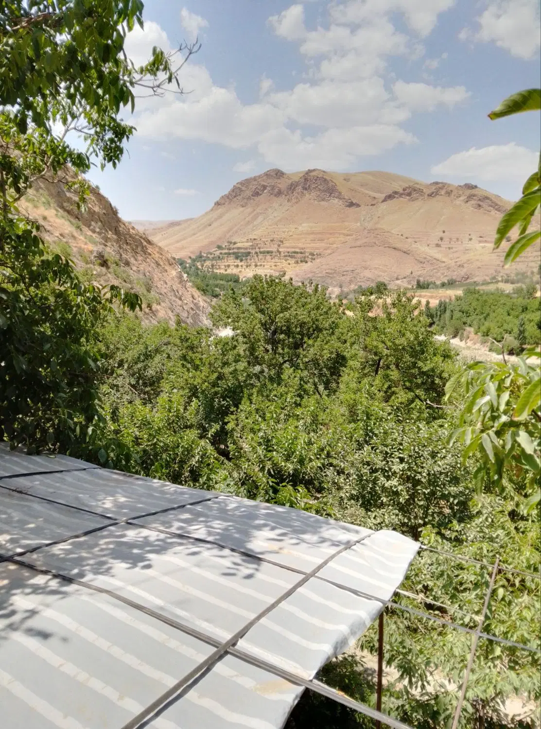 باغ فروشی