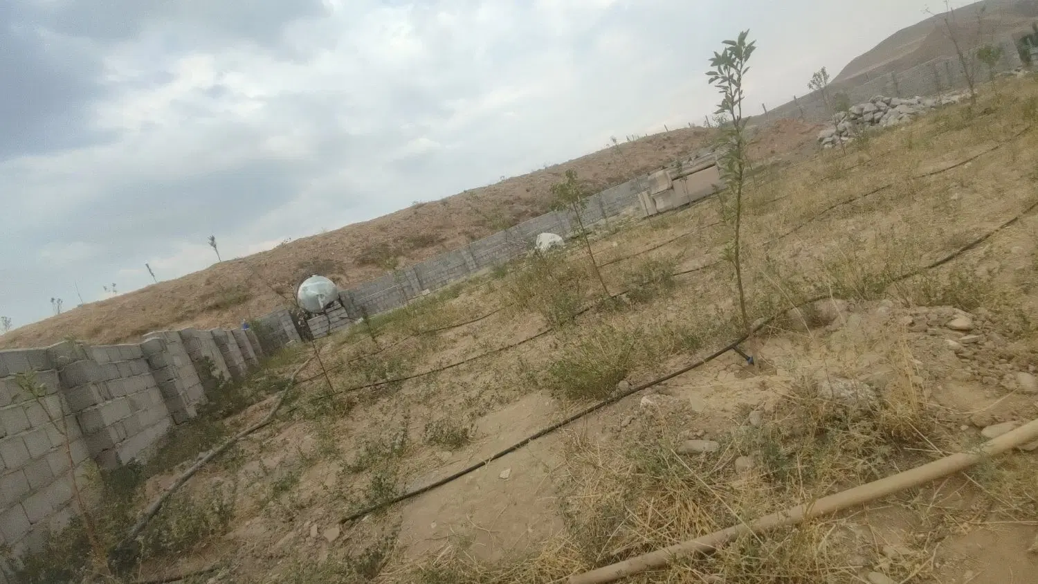 باغ دراسپیران