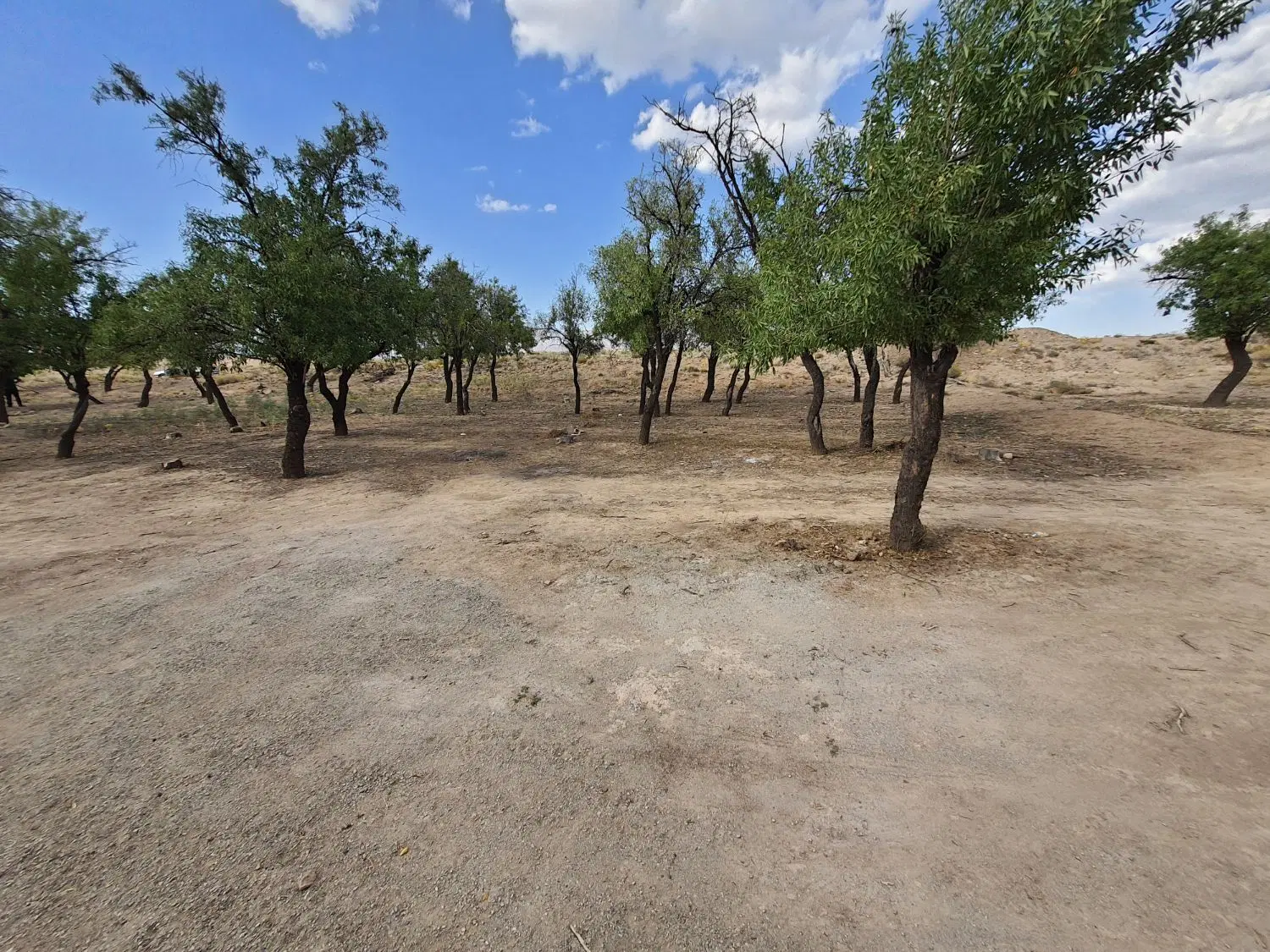 یک قواره باغ