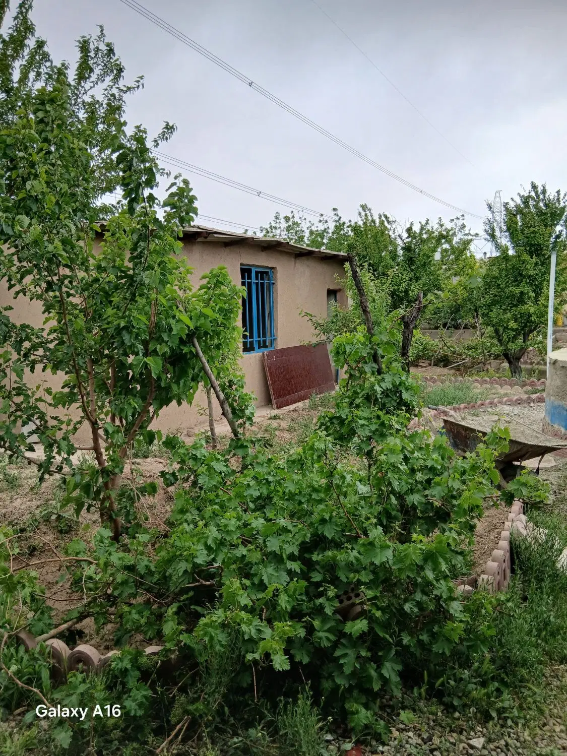 باغ۵۰۰متری در شهریار