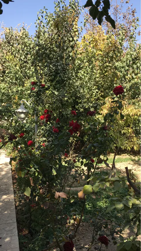فروش خانه ویلایی تنگک سوم