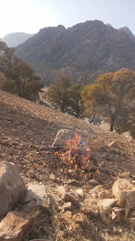 زمین مسکونی