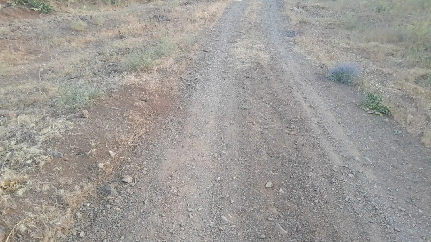 ۱۳۰۰متر زمین کشاورزی روستای قلیان