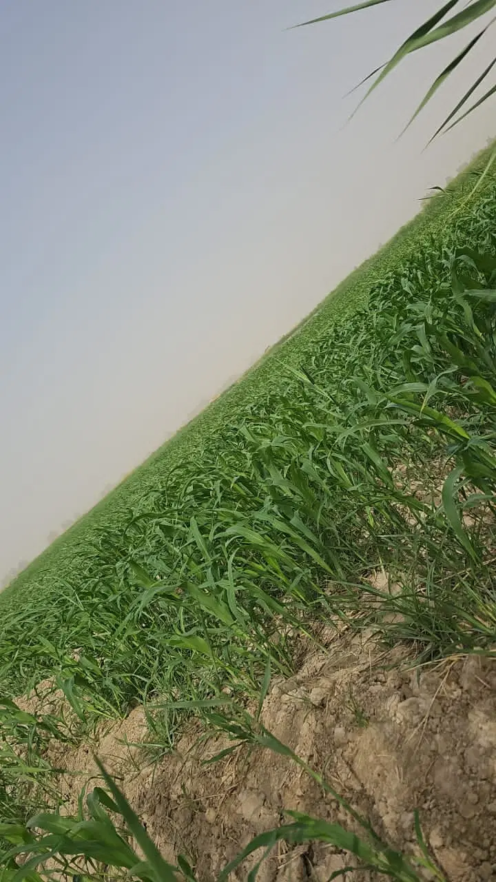 ۲۴۰متر