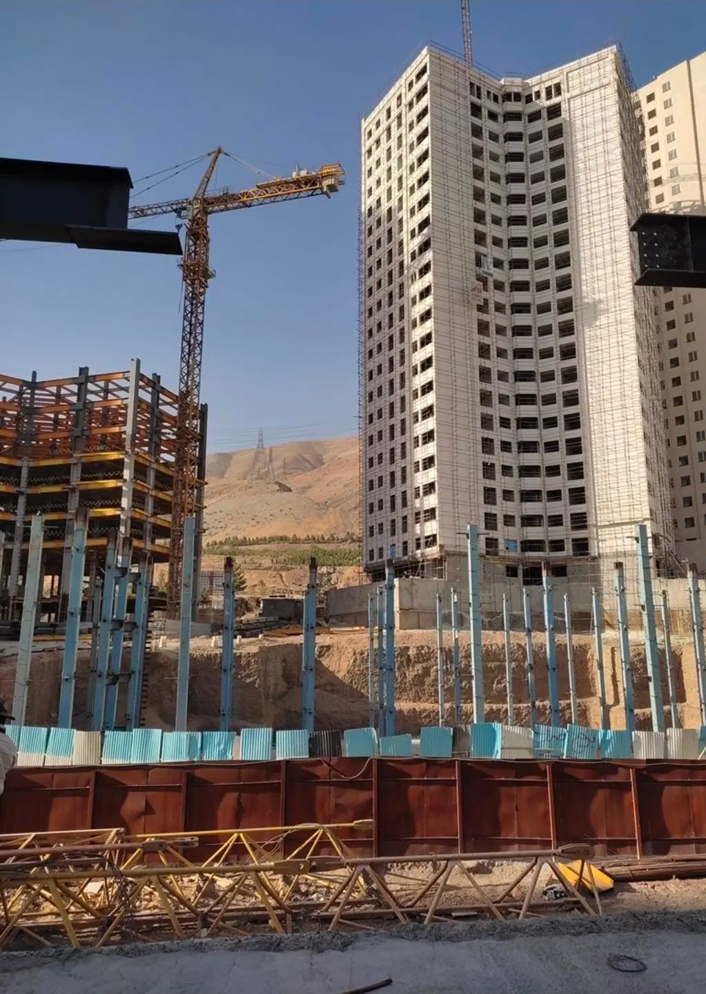 رونیکاپالاس دردشت