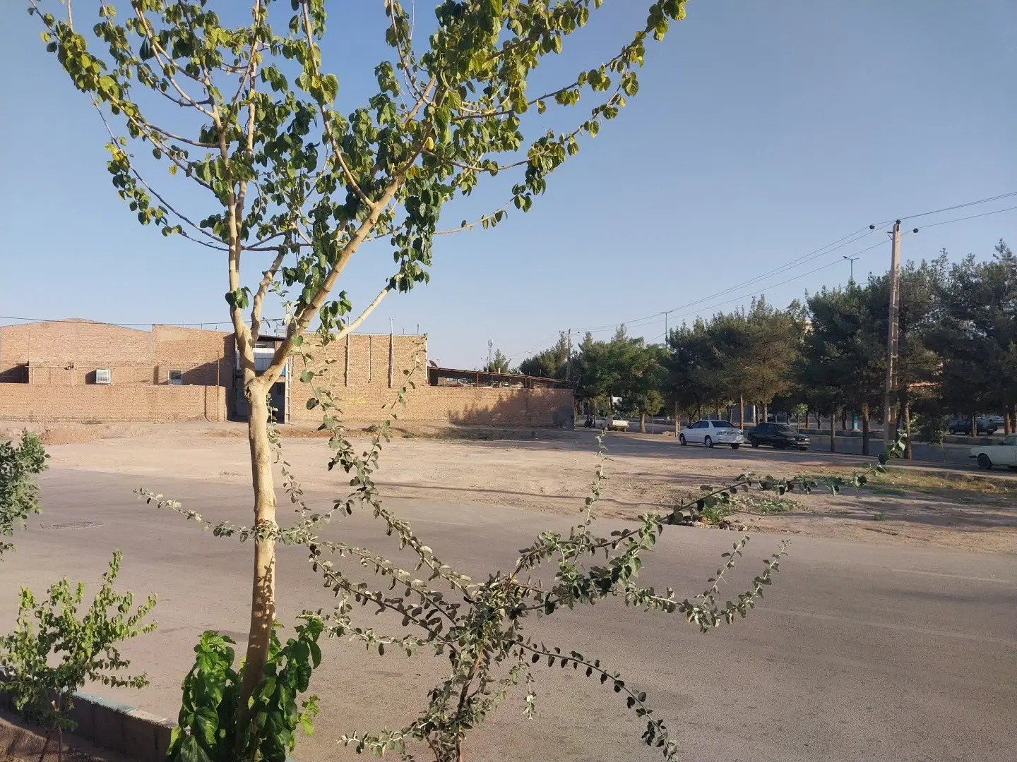 زمین فروشی
