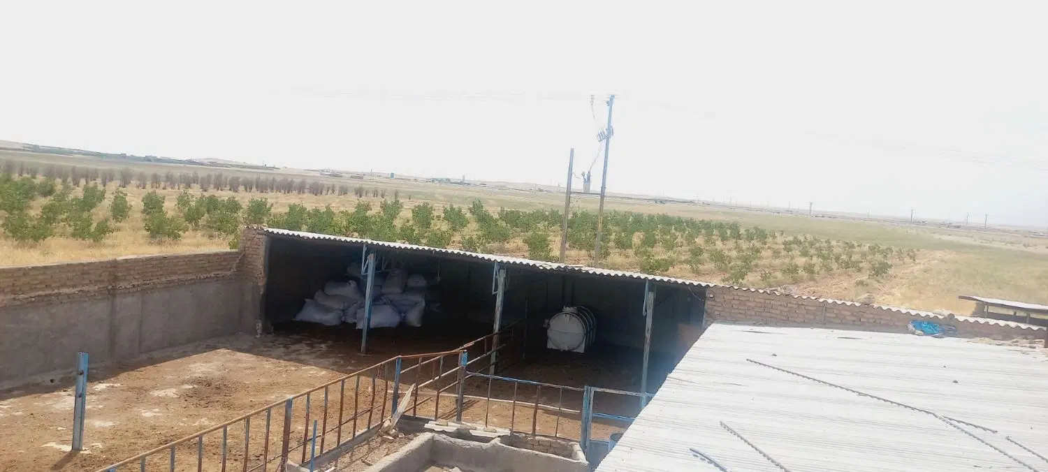 گاوداری صنعتی