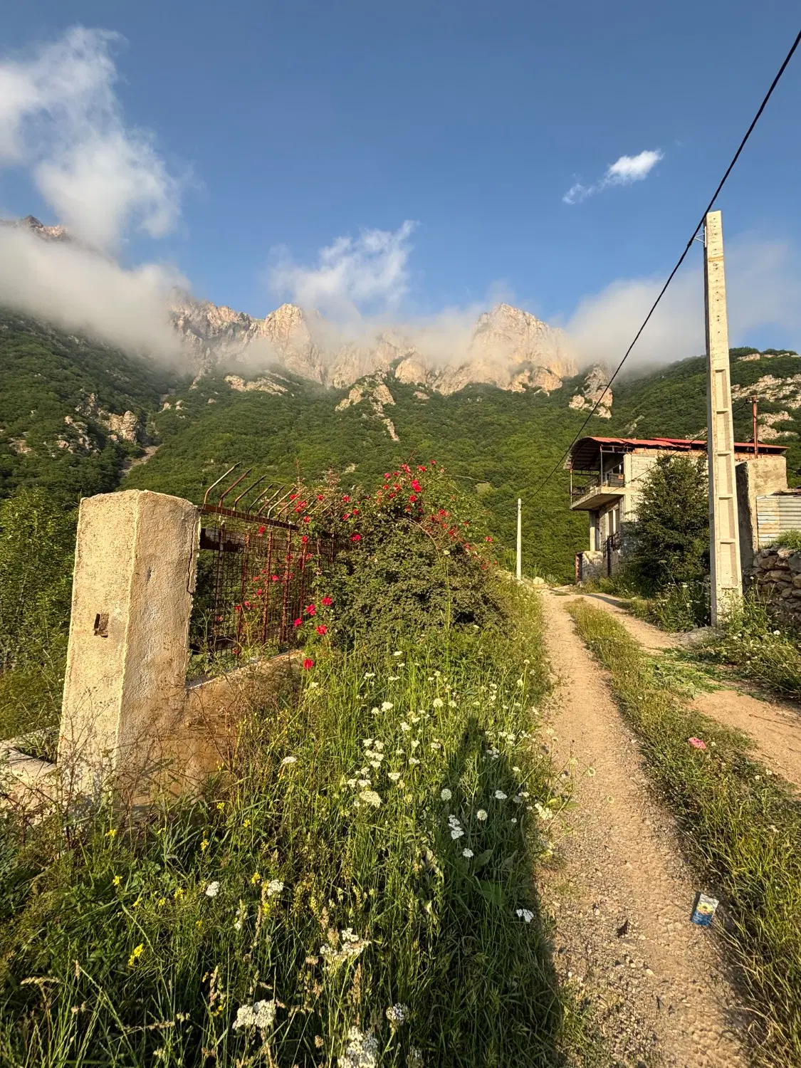 زمین
