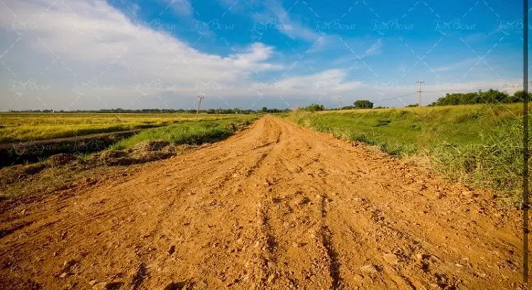 زمین کشاورزی
