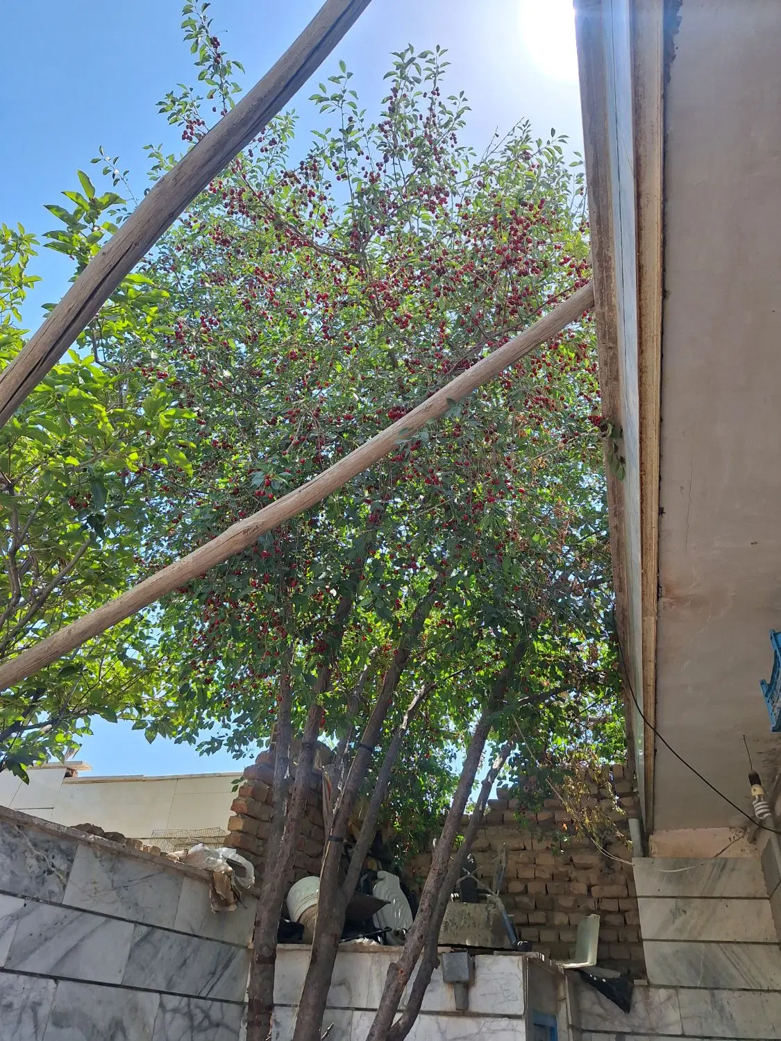 خانه۱۰۵ متری دوخوابه ملک آباد خیابان طالقانی