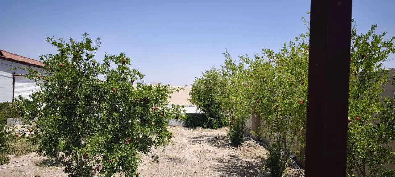 باغ
