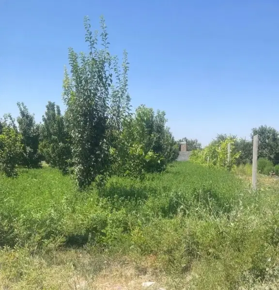 زمین مسکونی سرمایه گذاری