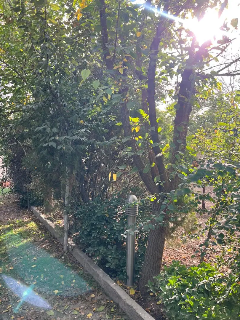 زمین ۱۰۰۰ متری شهرک طاووسیه کردان برغان