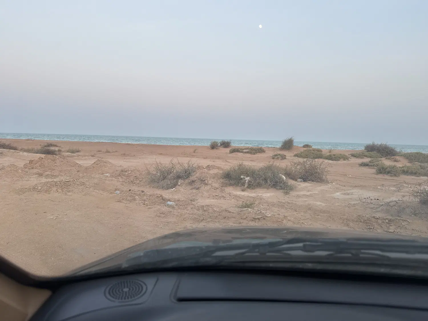زمین سندتگ برگ