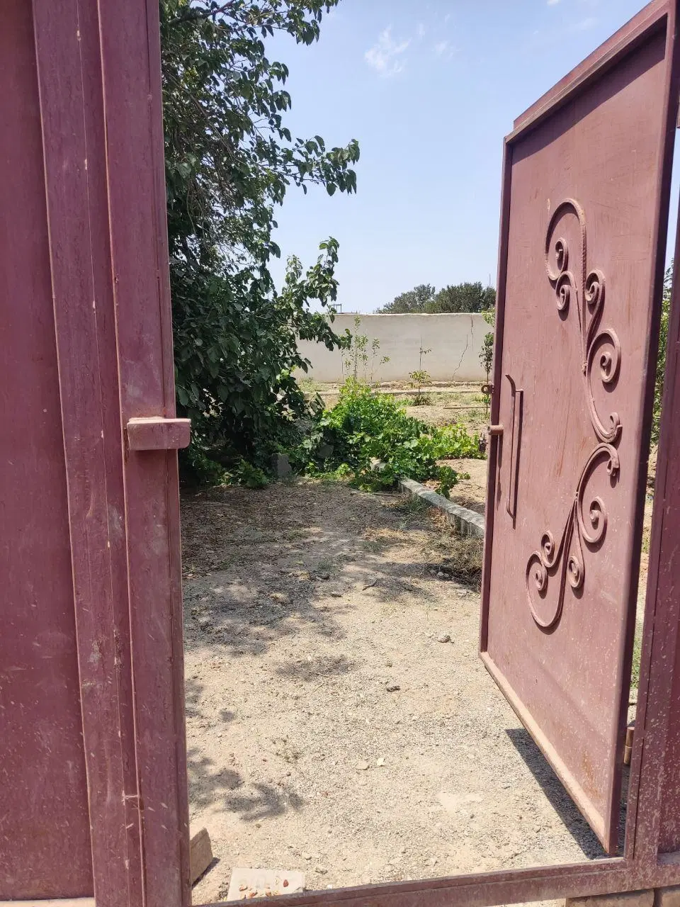 باغچه ، ۳۰۰ متر مربع