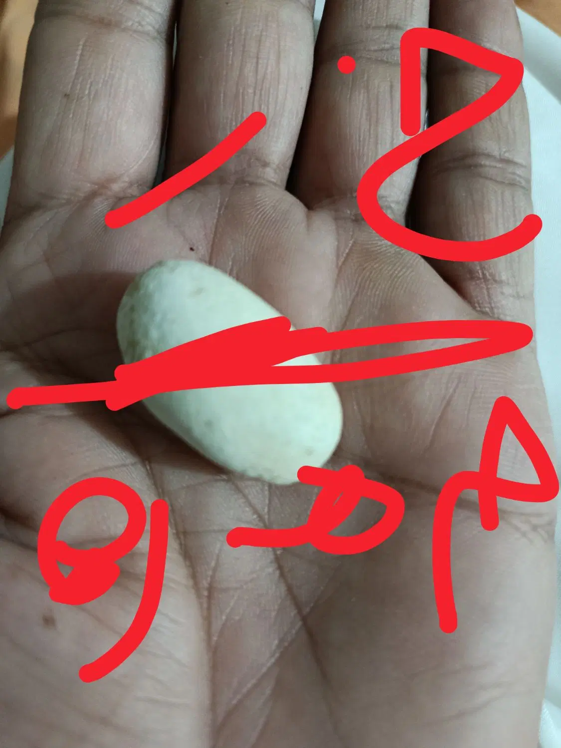 ملک فروش (عکس)