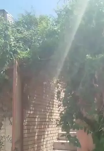 اجاره واحد مسکونی