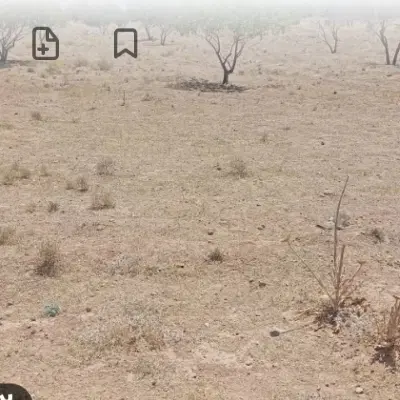 210منر زمین شهرک صدرا نیریز
