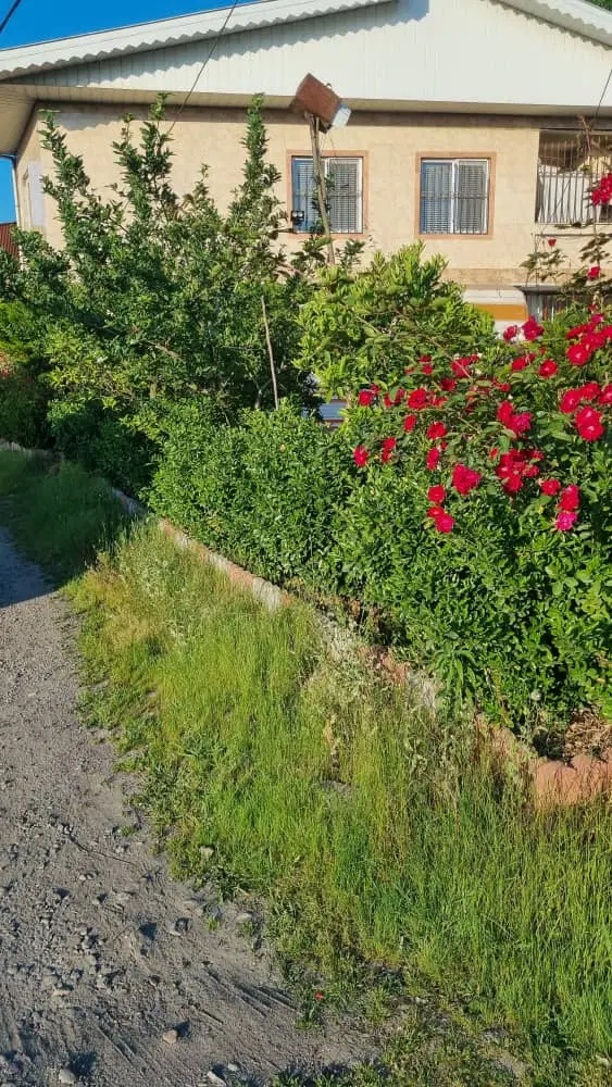 ۲هزارمتر باغ فیروزبهرام