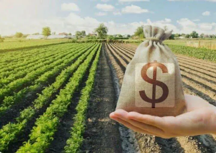 ۱۳۰۰مترزمین آینده دار