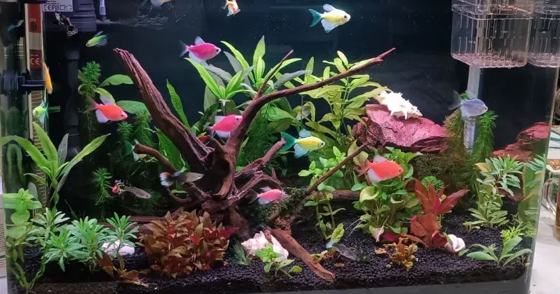 معاوضه دو واحد  اپارتمان با ویلایی
