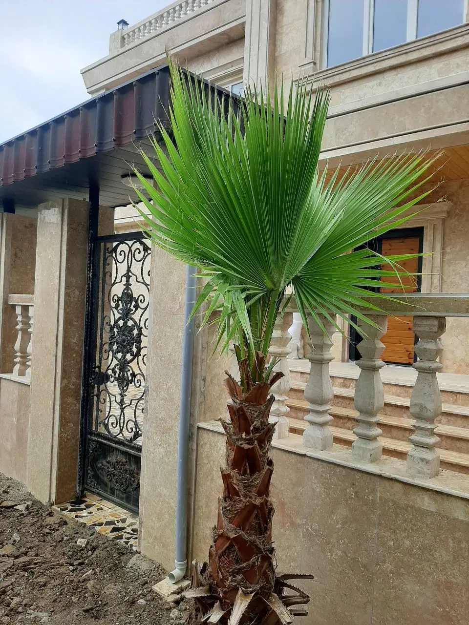 ویلا سوبلکس