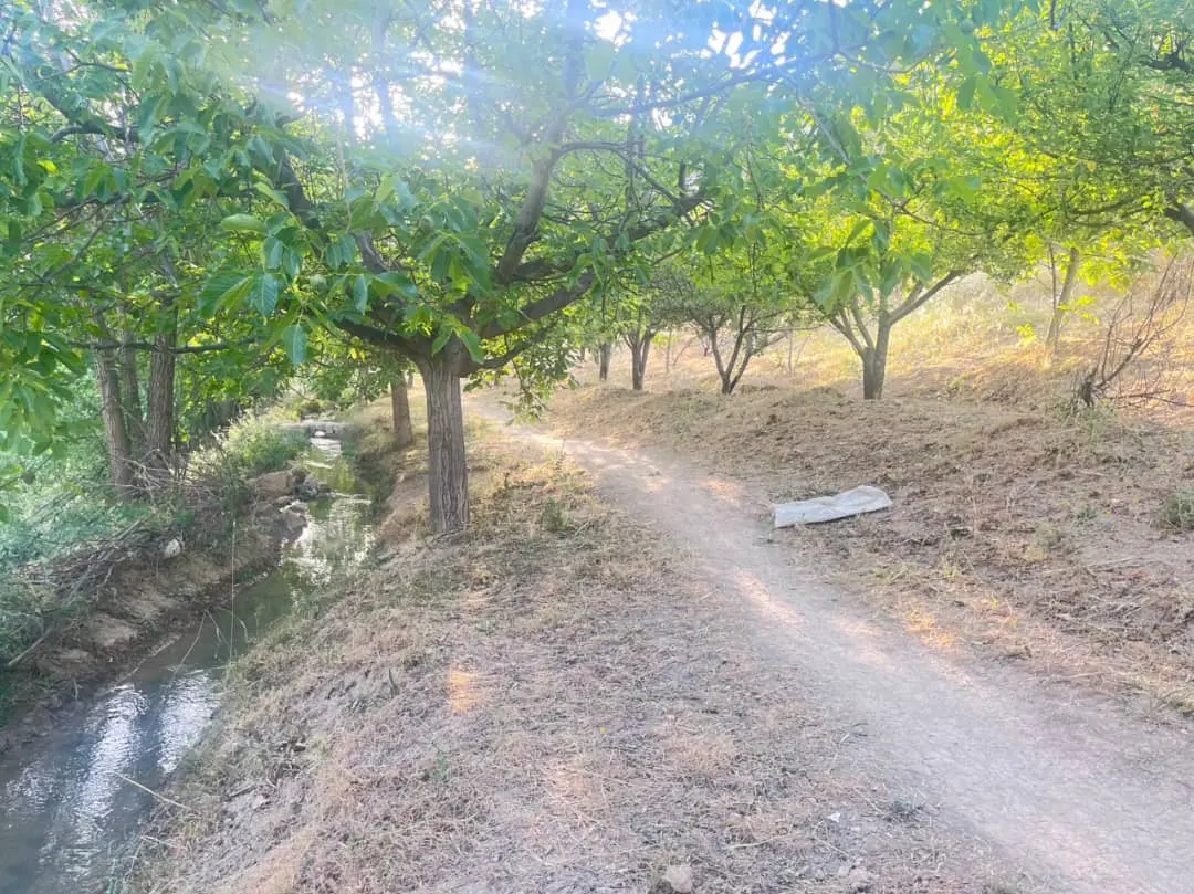 زمین۱۰۰۰متری مسکونی