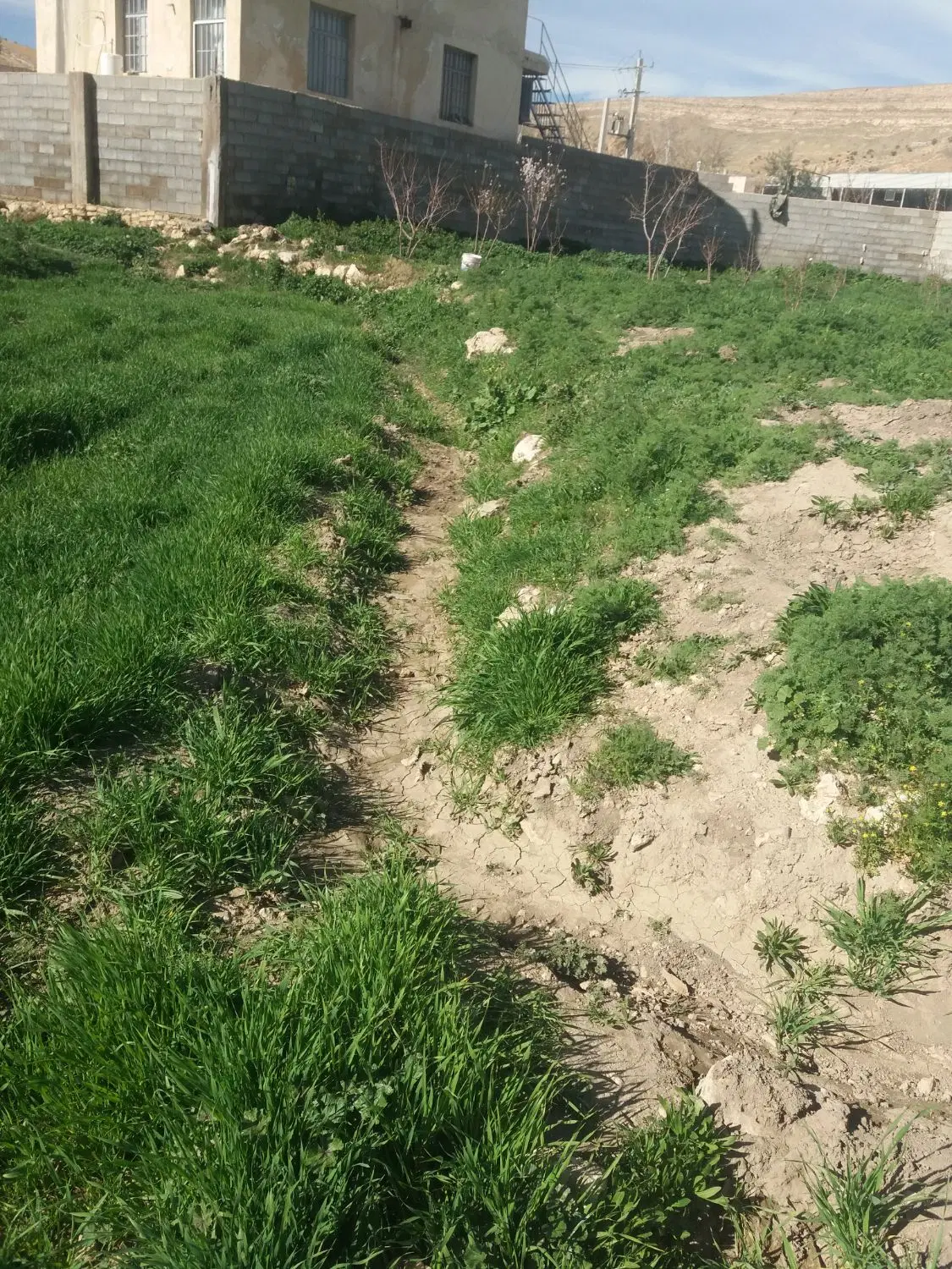 ۴۰۰ متر        زمین باغچه روستای بردج