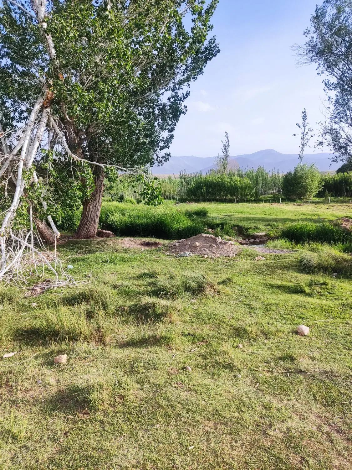 زمین فریدن تفریحی با مجوز ساخت
