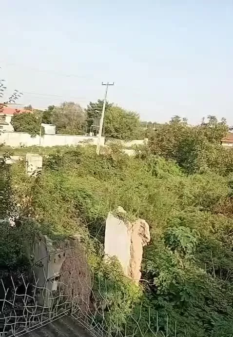 فروش و معاوضه