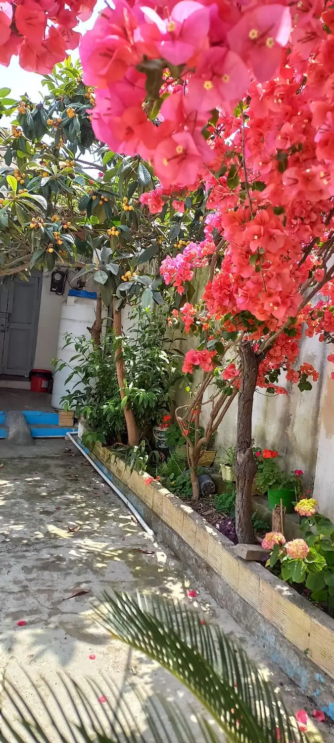 خانه ویلایی قدیمی بالای 100سال قابل سکونت