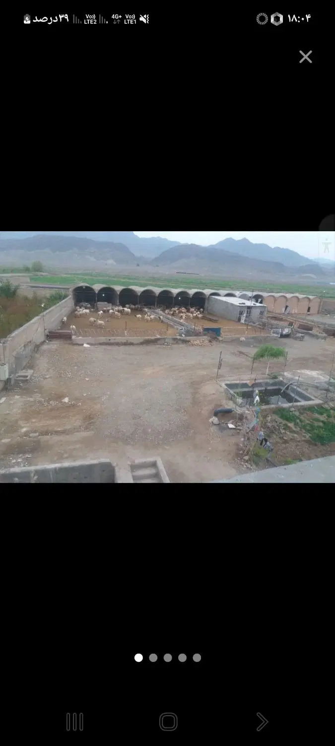 اجاره دامداری