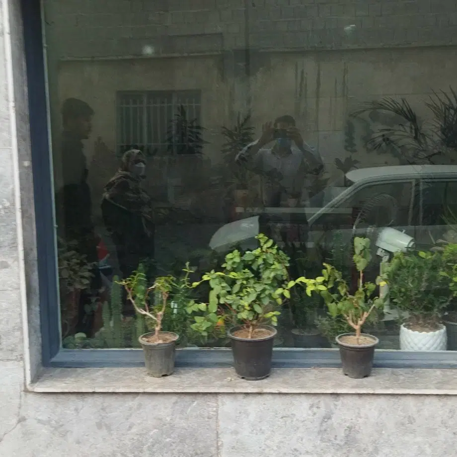 مغازه اجاره ای