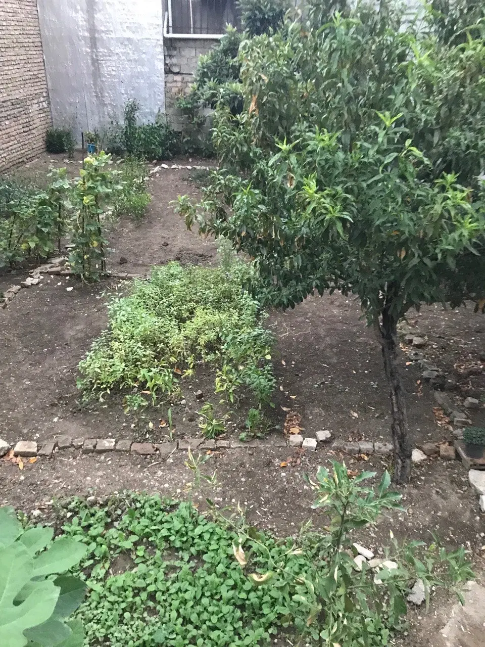 ۱۱۰ متر زمین مسکونی داخل بافت