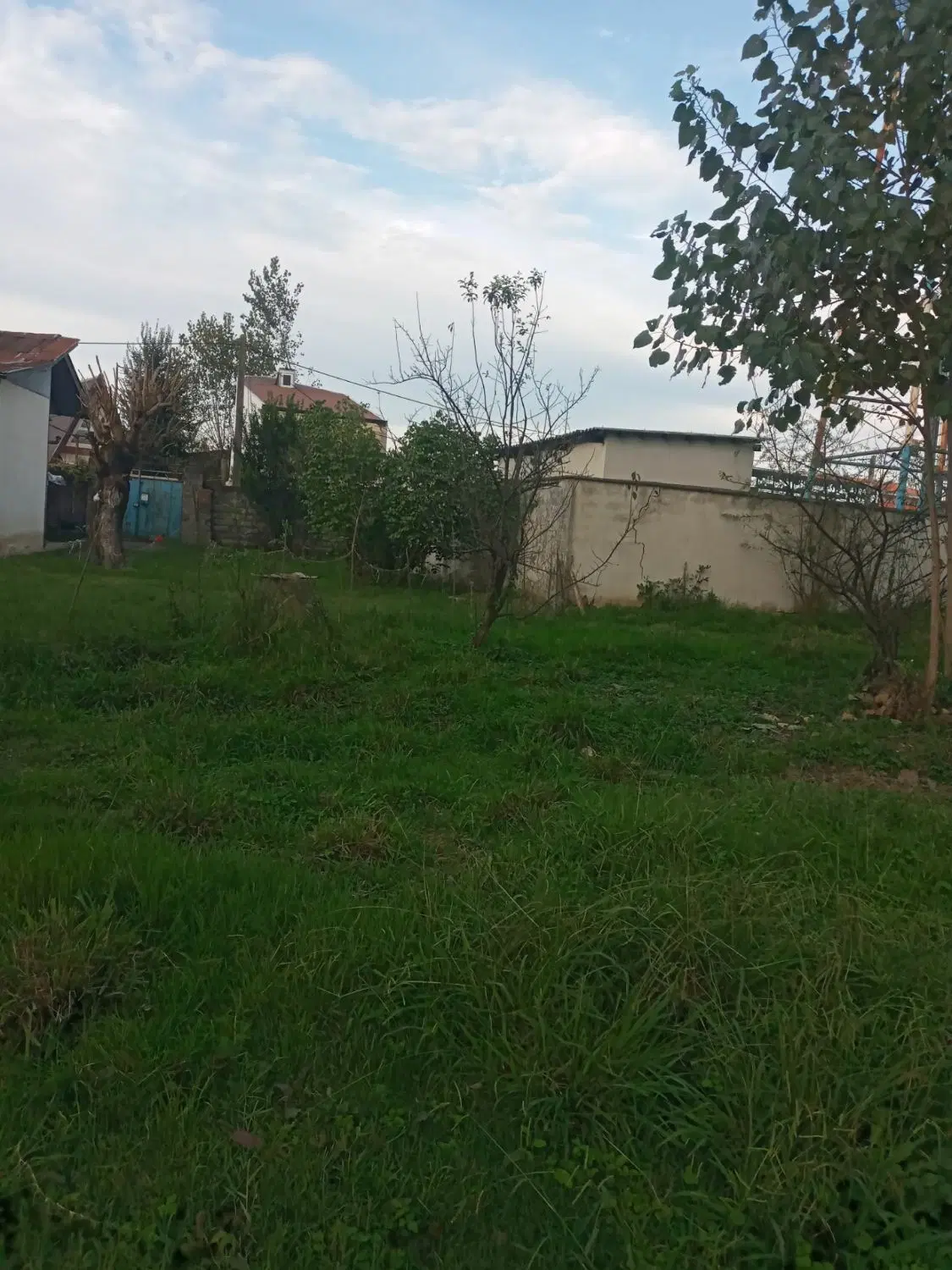 زمین،رشت