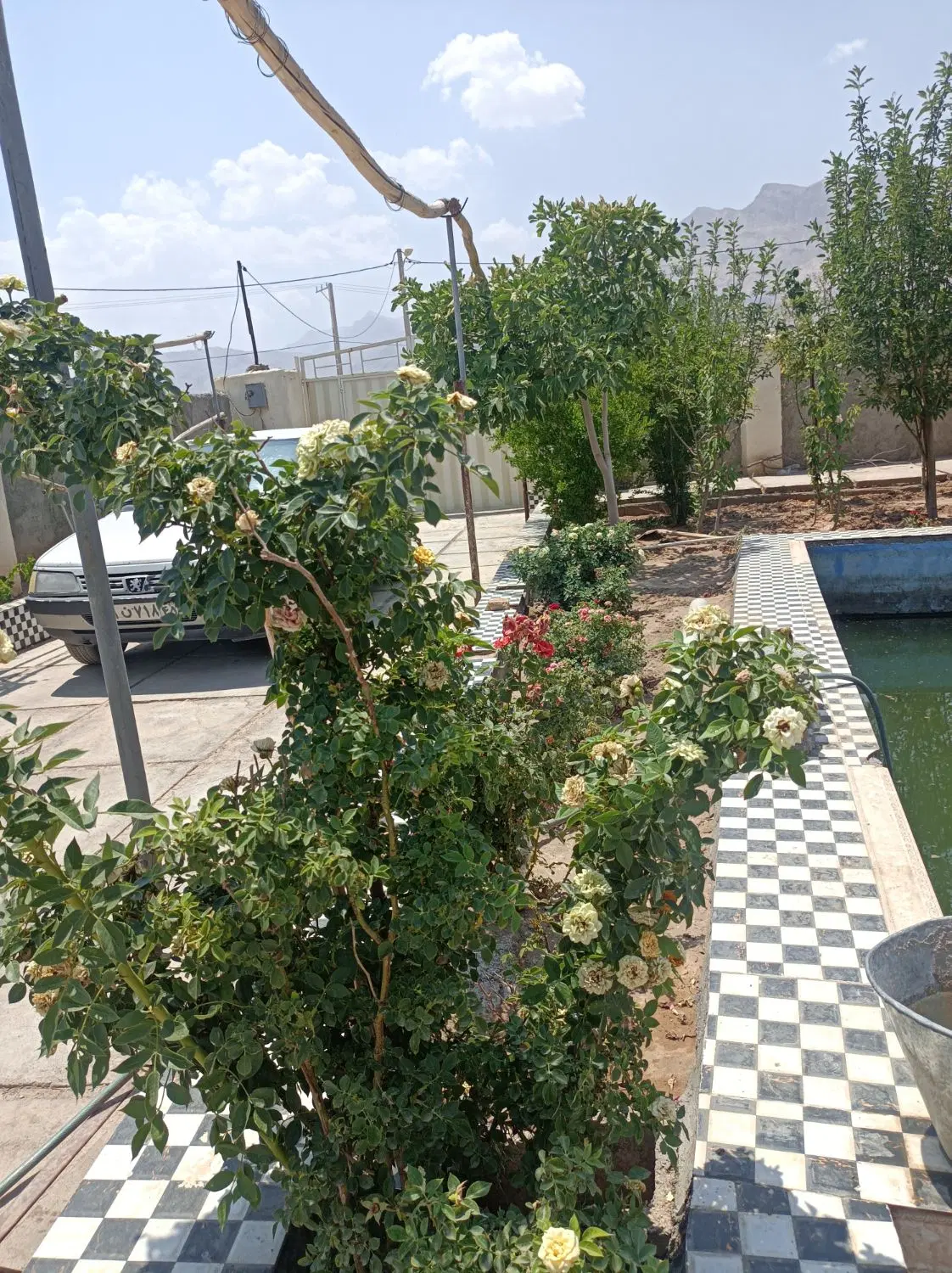 جوپارستان باغ ویلا