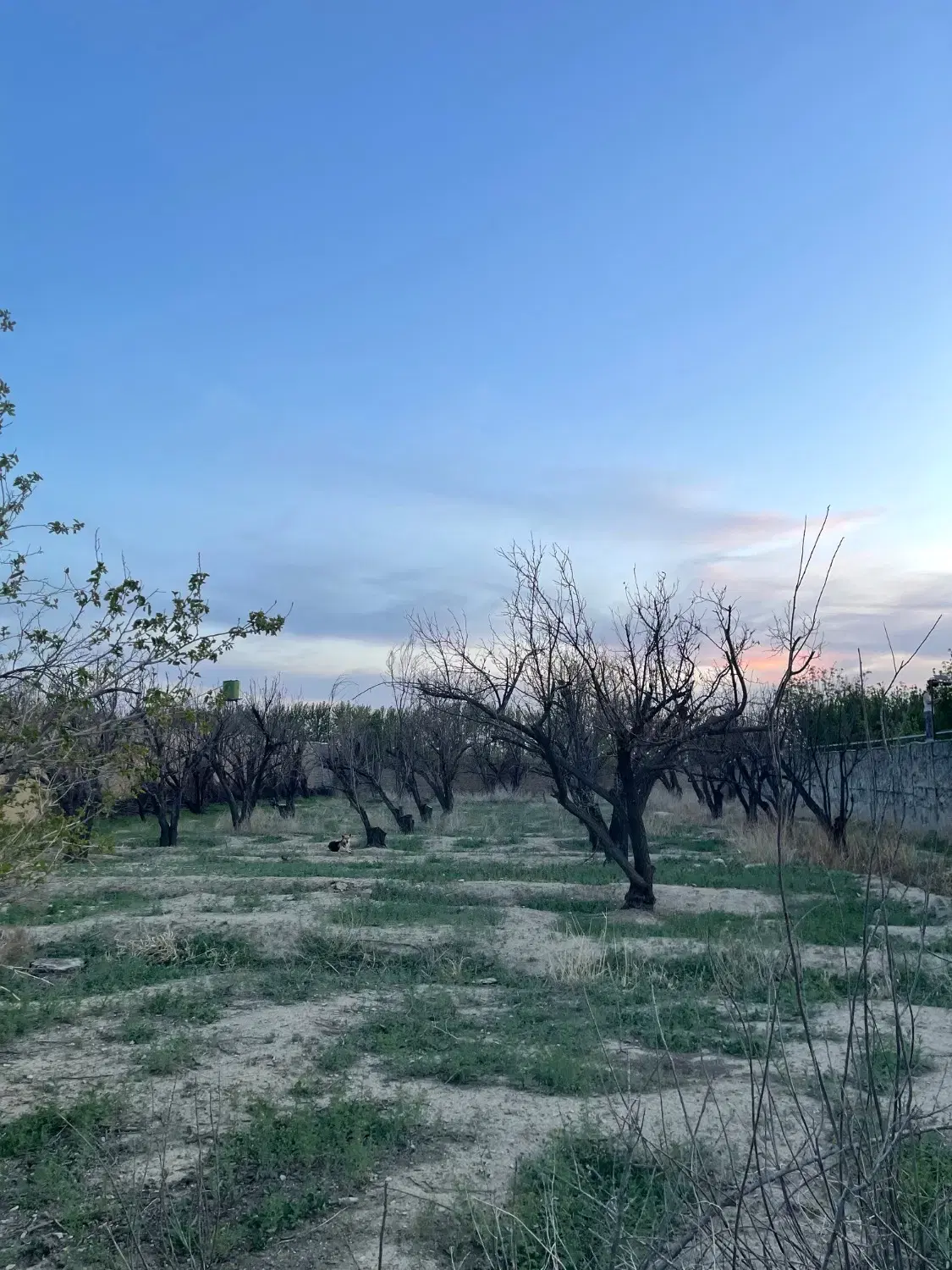 زمین  ۳۵۰۰ متری تهاتر با آپارتمان خونه کلنگی قدیمی