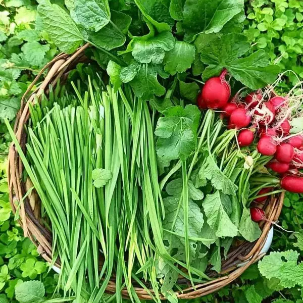 واگذاری فروشگاه سبزیجات آماده