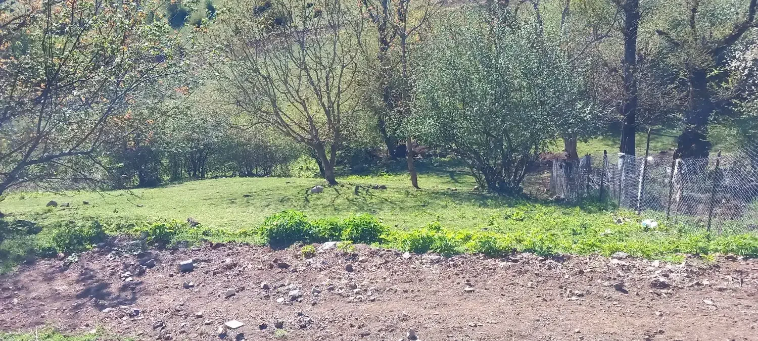 265متر زمین واقع مرزن آباد روستای پنجک